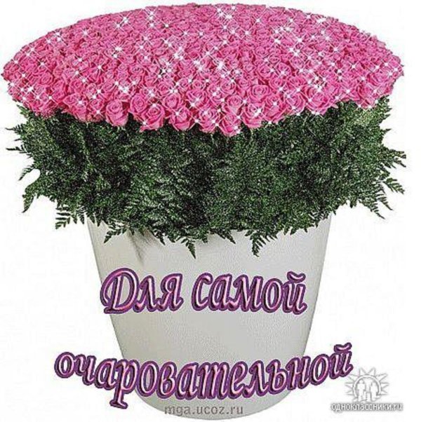 огромные букеты