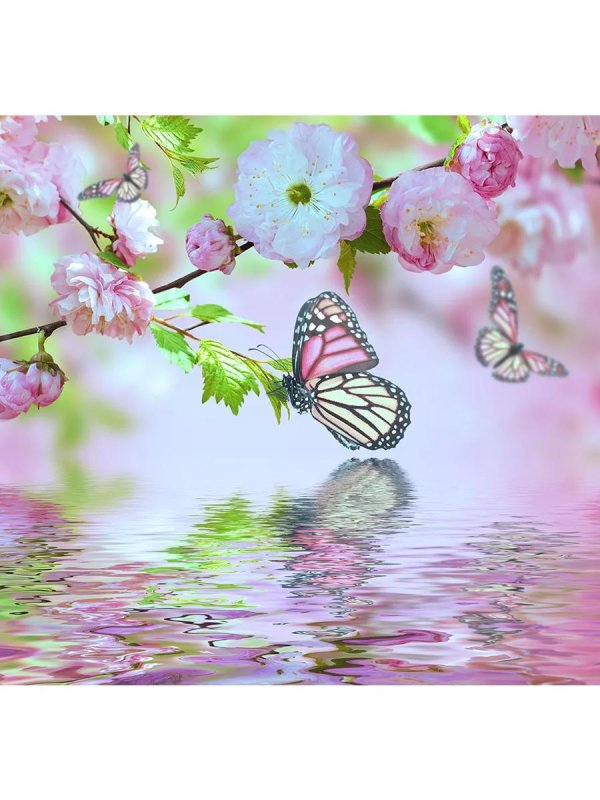 весенние бабочки