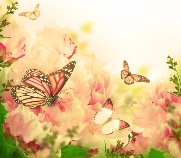 цветочный фон