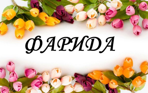 с днем рождения фарида