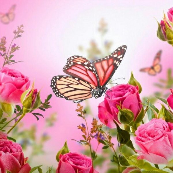 цветочные фоны