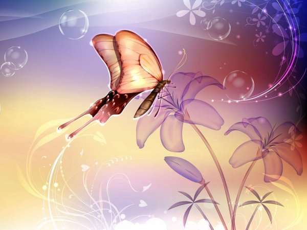 сказочная бабочка