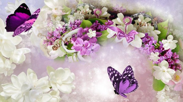 цветочные фоны