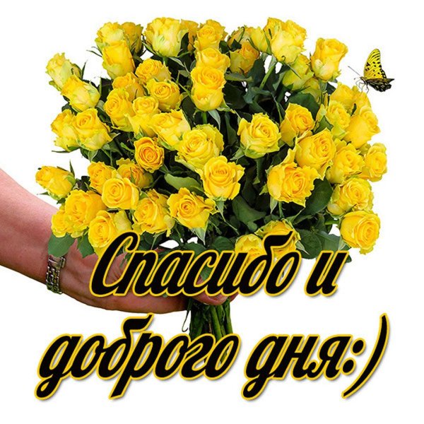 красивые слова благодарности