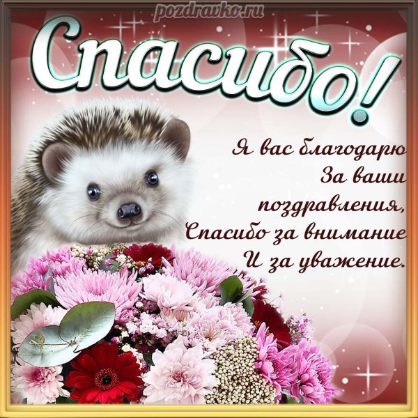 спасибо за внимание ежик