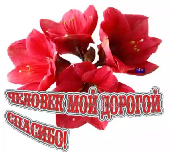 благодарность спасибо класс супер