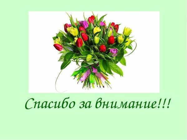 букет тюльпан