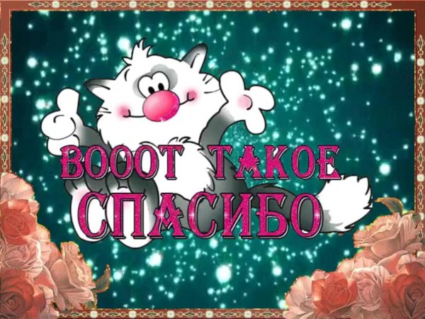 спасибо за поздравление прикольные