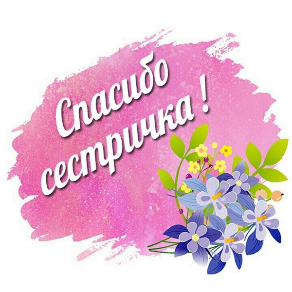 спасибо незабудки