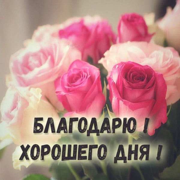 благодарю хорошего дня