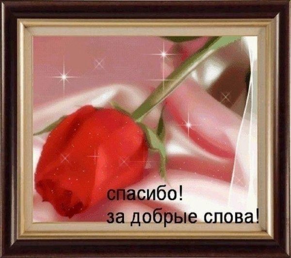 слова спасибо