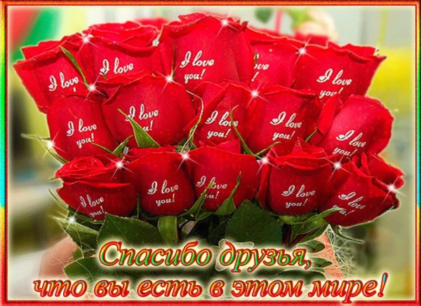 дорогие мои друзья