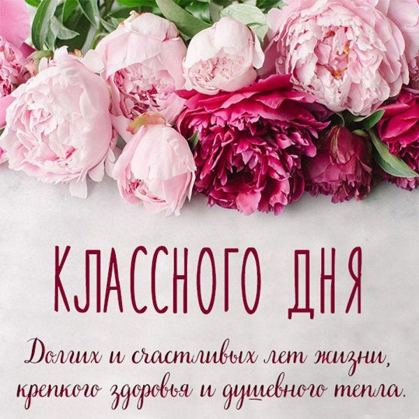 розовые пионы