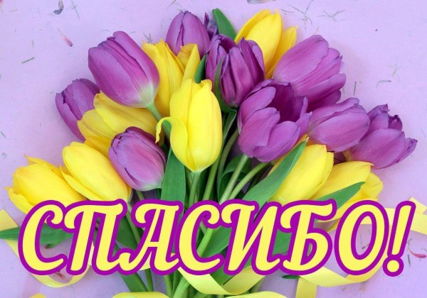 благодарим за покупку открытка