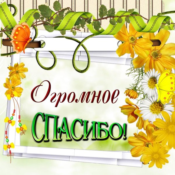 открытка спасибо