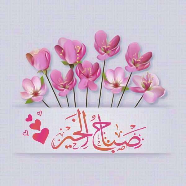 مساء الخير عليكم jhgfgjihfefn