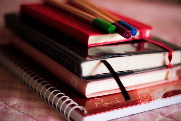 Образование