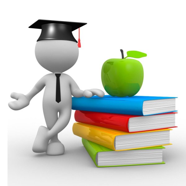 Образование