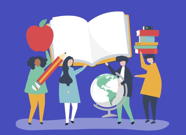 Образование