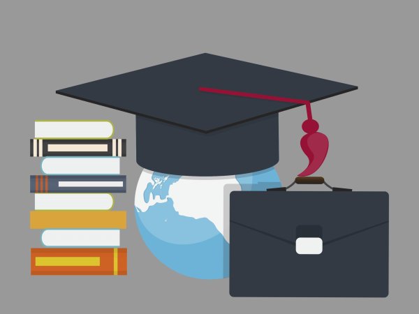 Образование