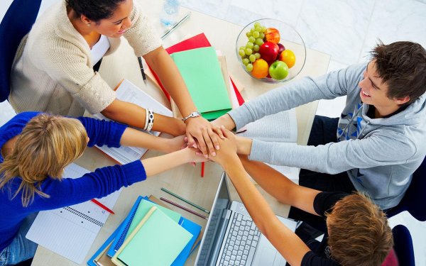 Образование