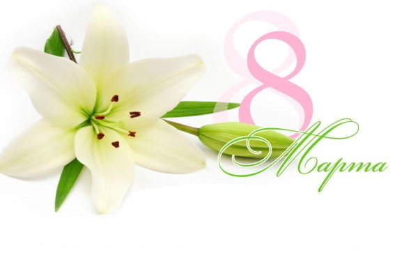 лилии белые