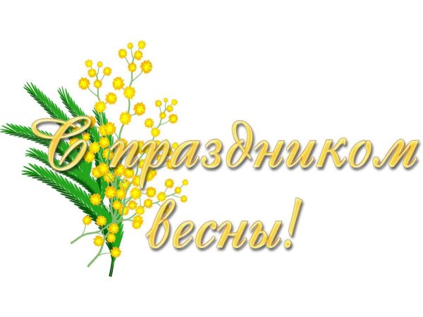 веточка мимозы