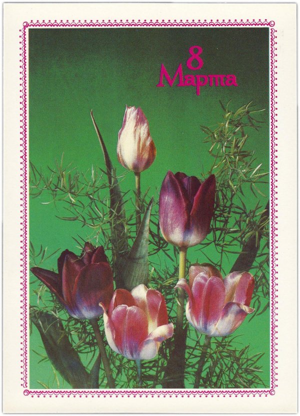 старые открытки с тюльпанами