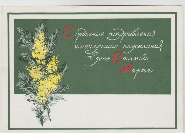 советские открытки с мимозой