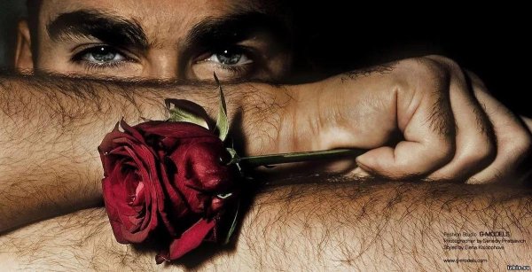 парень с розой