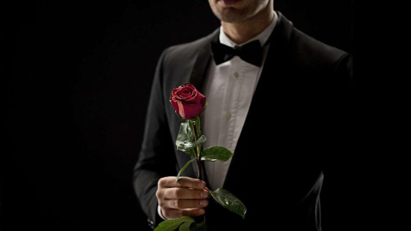 шоу холостяк