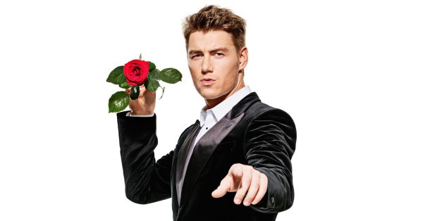 шоу холостяк