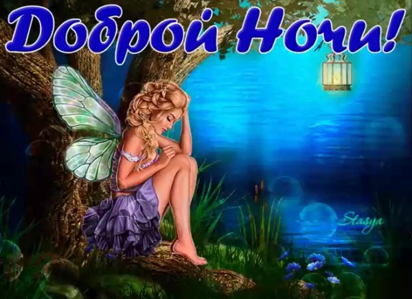 спокойная ночи