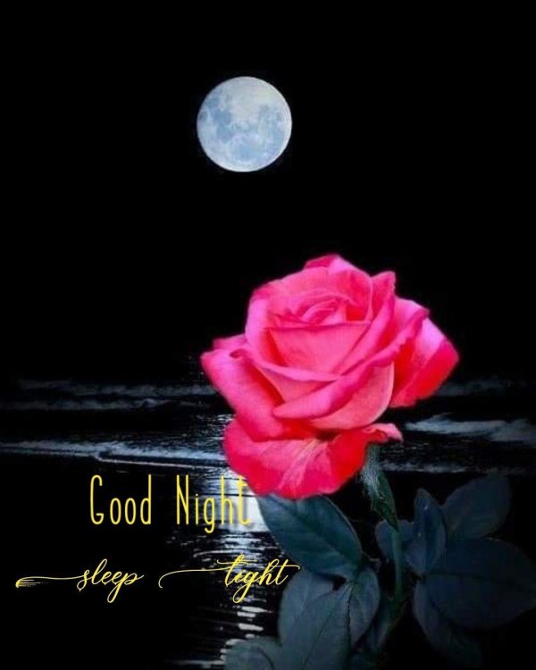 ночная роза