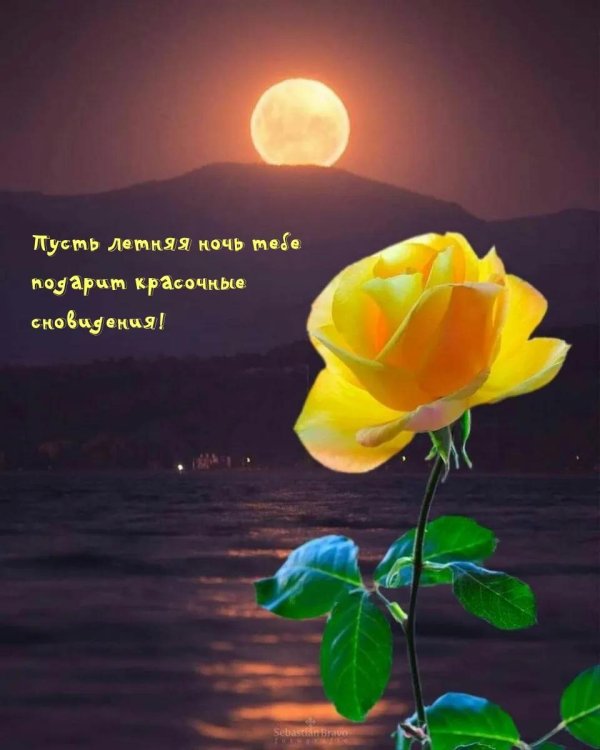 прекрасная ночь