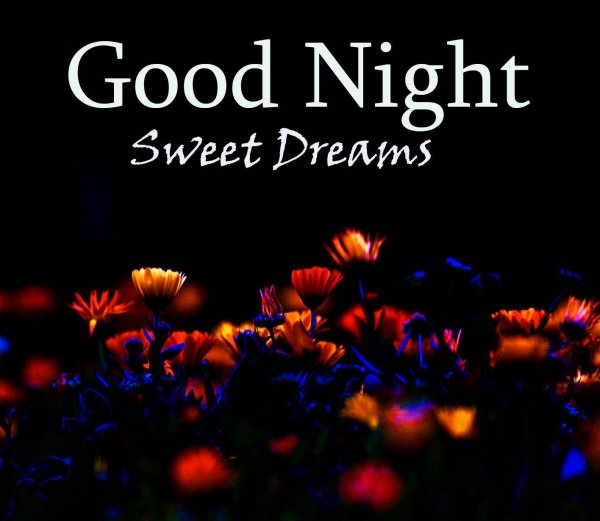 sweet good night