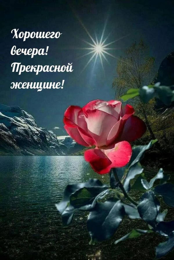 вечера прекрасного