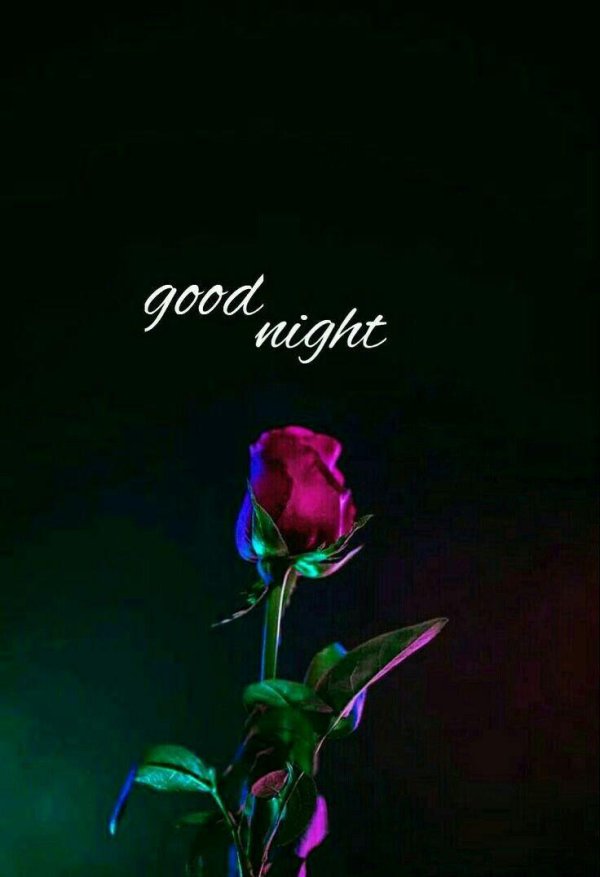 неоновая роза