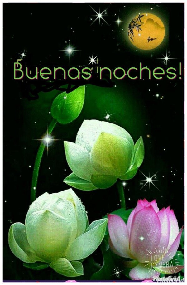 buenas noches dulces sueños