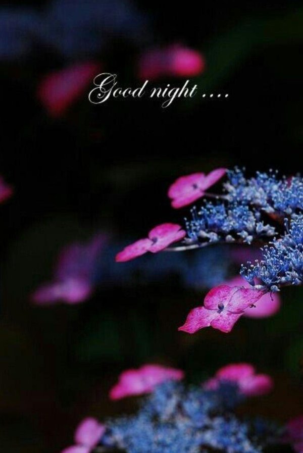 сладких снов красивые