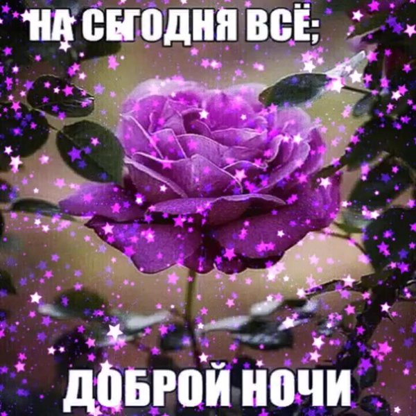 добр вечер
