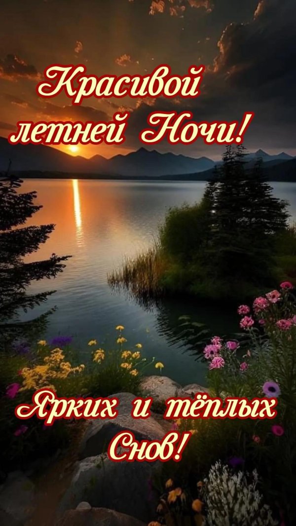 прекрасной летней ночи