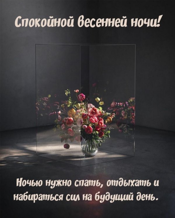 спокойной ночи вечнние