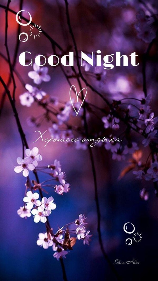 цветущее дерево