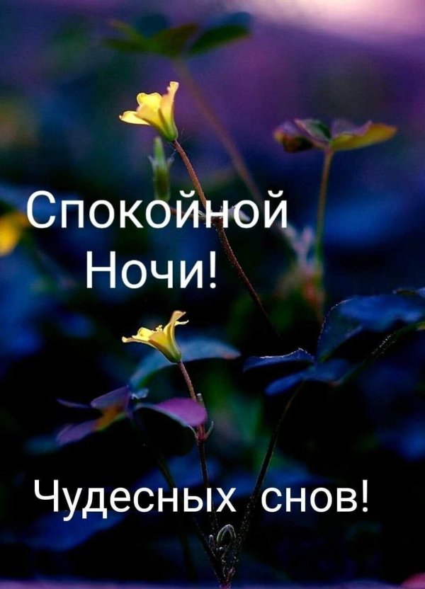 спокойной весенней ночи