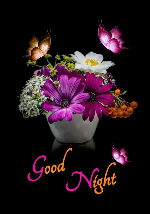 buenas noches con flores