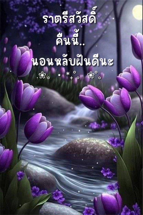 тюльпан красивый