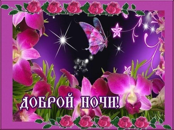 доброй ночи картинки красивые