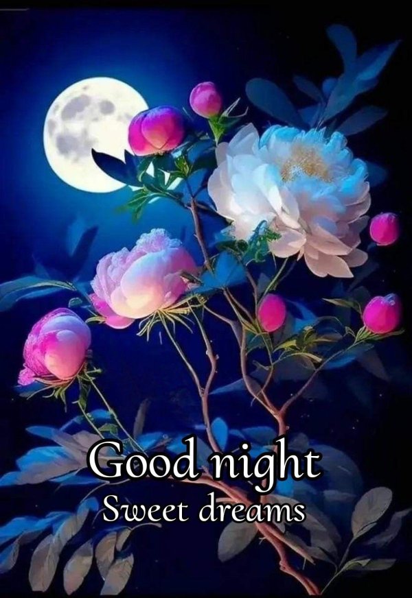 good night flower