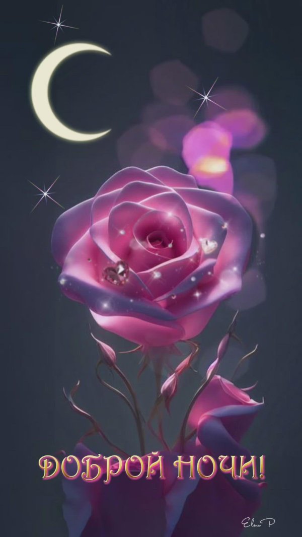 красивая цветок